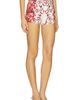 Alice + Olivia Alice + Olivia Hera Back Zip Short - 2