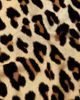 Alice + Olivia Women's Delaina Leopard Print Crop Top - 6