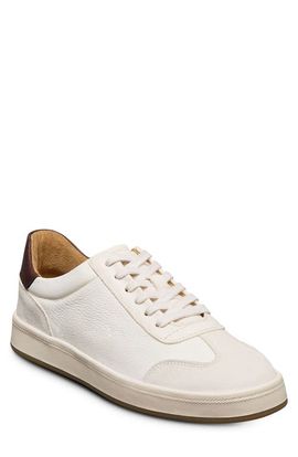 Allen Edmonds Allen Edmonds Hawthorne Sneaker