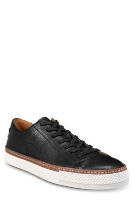 Allen Edmonds Allen Edmonds Paxton Sneaker
