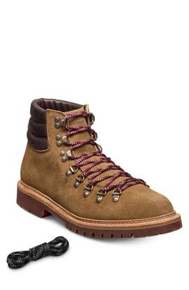 Allen Edmonds Allen Edmonds Telluride Lug Sole Boot