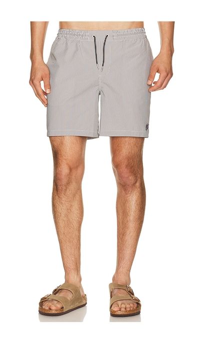ALLSAINTS ALLSAINTS Ciper Stripe Swimshort