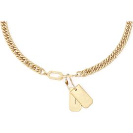 AllSaints AllSaints Dog Tag Link Chain Pendant Necklace