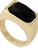 AllSaints AllSaints Rectangular Stone Signet Ring - 1