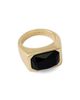 AllSaints AllSaints Rectangular Stone Signet Ring - 4