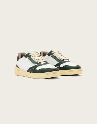 AllSaints AllSaints Regan leather low top sneakers in white and green