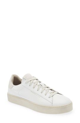 AllSaints AllSaints Shana Low Top Sneaker