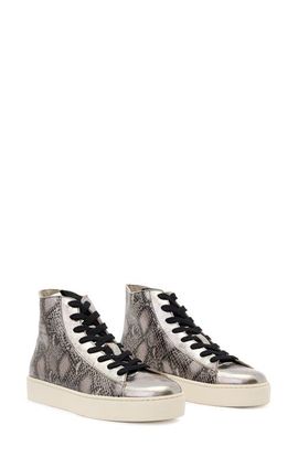 AllSaints AllSaints Tana Metallic High Top Sneaker