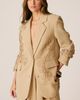 Alma en Pena Alma en Pena Embroidered Floral Blazer - 3