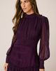 Alma en Pena Alma en Pena Long Dress With Ruffles - 4