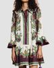 Alémais Women's Ruthie Printed Linen Drop-Waist Mini Shirtdress - 2