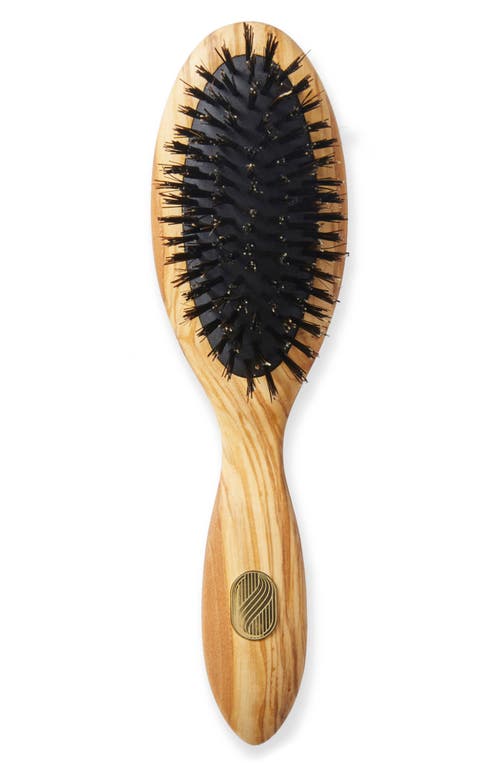 Altesse Studio Altesse Studio BEAUTE Petite Repair & Shine Brush for Thick or Curly Hair 