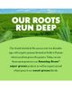 Amazing Grass Amazing Grass Greens Blend Antioxidant Super Greens Powder with Spirulina Beet Root Elderberry Prebiotics Probiotics Sweet Berry - 4