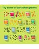 Amazing Grass Amazing Grass Greens Blend Immunity Powder Elderberry Superfood Supplement 7.4 oz - 5