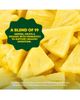 Amazing Grass Amazing Grass Super Greens Digest Powder Pineapple Guava 30 Servings - 4