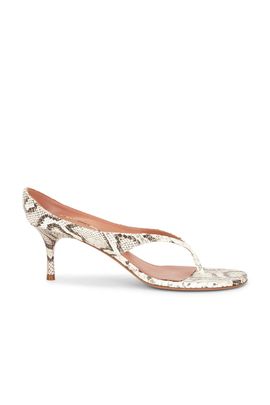 AMINA MUADDI AMINA MUADDI Alexandra 60 Thong Slipper Sandal