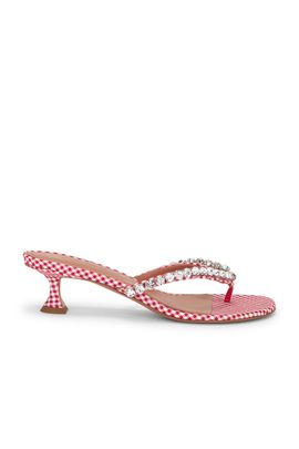 AMINA MUADDI AMINA MUADDI Gigi 45 Thong Sandal