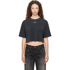 AMIRI AMIRI Gray Embroidered Cropped T-Shirt