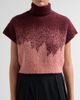 AMUR Women's Harper Ombré Sweater - 5