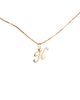 Ana Luisa Ana Luisa Solid Yellow Gold Script Letter Necklace - 4