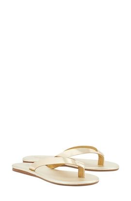 Ancient Greek Sandals Ancient Greek Sandals Leda Leather Flip Flop