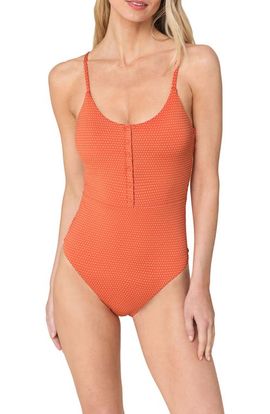 Andie Andie Snap Long Torso One-Piece Swimsuit