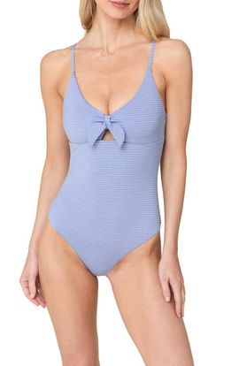 Andie Andie Tenerife One-Piece Swimsuit