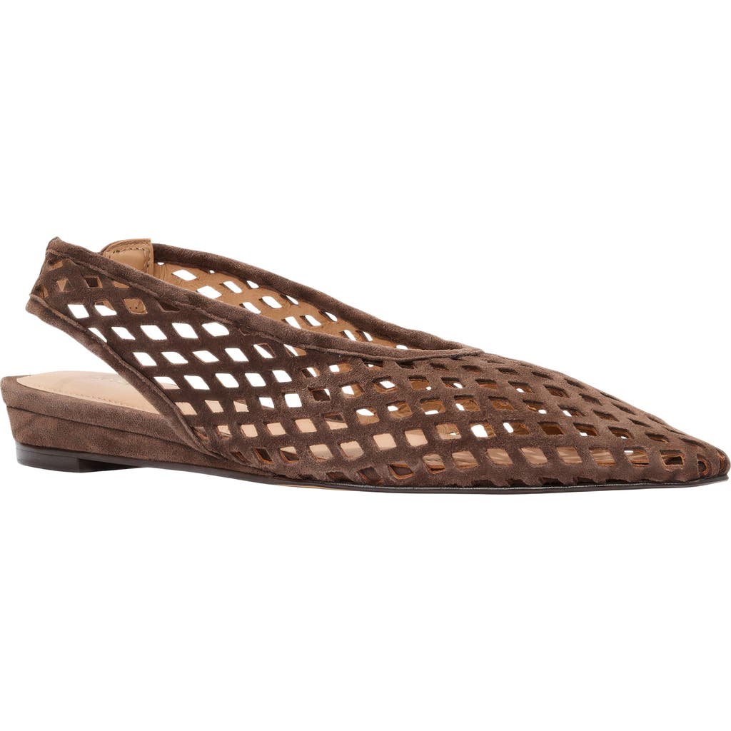 André Assous André Assous Brielle Pointed Toe Slingback Flat