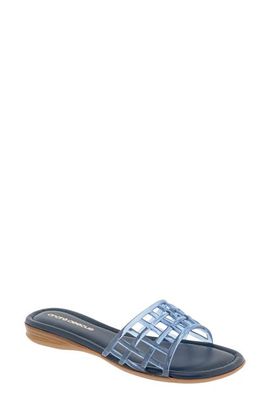 André Assous André Assous Nabil Jelly Slide Sandal