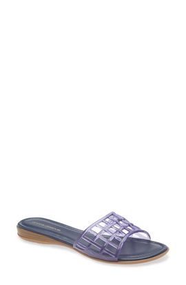 André Assous André Assous x Bre Tiesi Nabil Jelly Slide Sandal