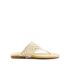Andrea Gomez Andrea Gomez Brenda Flat
