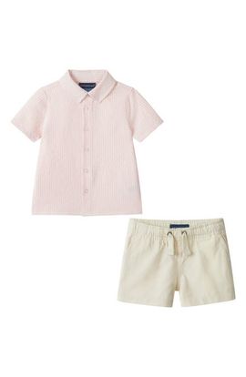 Andy & Evan Andy & Evan Polo & Shorts Set