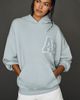 Anine Bing Harvey 100% Cotton Hooded Sweatshirt - 1