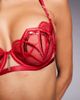 Ann Summers Ann Summers Desiring Decadence non padded balconette bra in red - 2