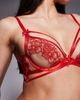 Ann Summers Ann Summers Floral Affair non padded plunge bra in red - 3