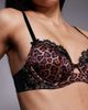 Ann Summers Ann Summers Wild Romance padded balcony bra in leopard print-Brown - 4