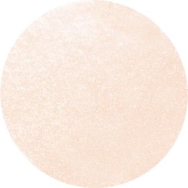 Anna Sui Anna Sui Illuminating Sponge Compact Refill
