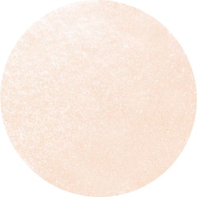 Anna Sui Anna Sui Illuminating Sponge Compact Refill