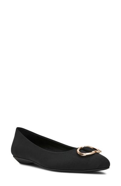 Anne Klein Anne Klein Oswego Pointed Toe Flat