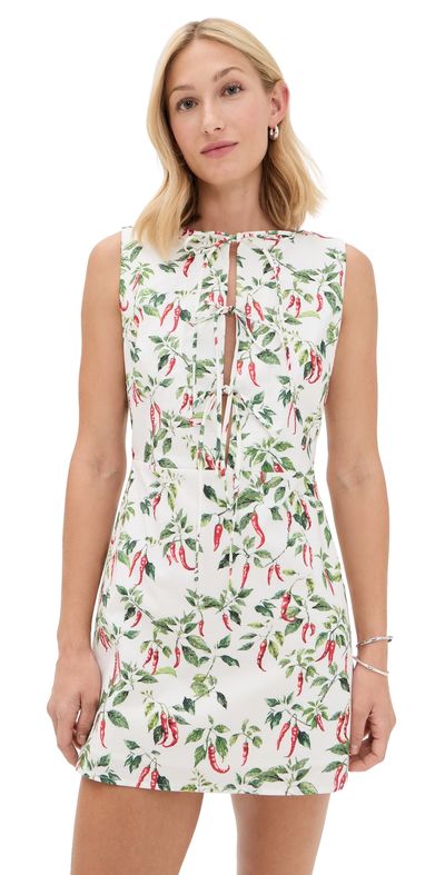 Another Girl Another Girl Chili Print Tie Front Mini Dress Multi