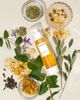 Antevorta Laboratories Antevorta Laboratories The Hydrating - 5