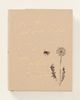 Anthropologie Art Is: A Journey into the Light Hardcover Book - 1