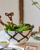 Anthropologie Beau Wood Serve Set - 2