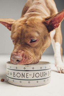 Anthropologie Bistro Tile 24k Gold Accent Large Stoneware Dog & Cat Bowl