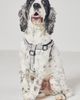 Anthropologie Bistro Tile Dog Harness - 1