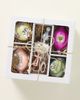 Anthropologie Boxed Vintage Milky Ornaments, Set of 5 - 2