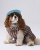 Anthropologie Chelsea Down Dog Parka Jacket and Hat - 1