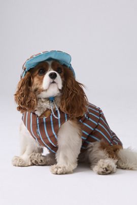 Anthropologie Chelsea Down Dog Parka Jacket and Hat