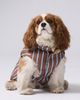 Anthropologie Chelsea Down Dog Parka Jacket and Hat - 2