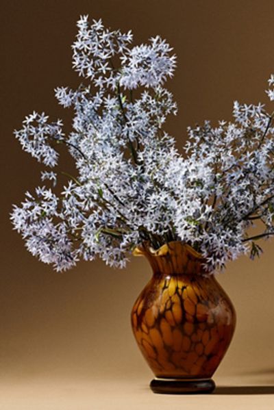 Anthropologie Colette Glass Vase